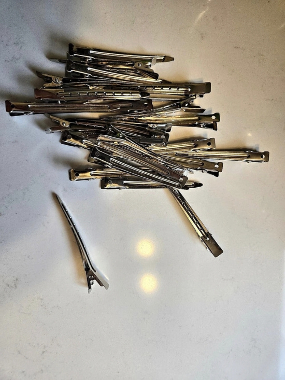 FREE 🎁 Pack Of Metal Hair Clips